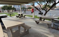 195 Shade Tree, Mesquite, NV 89027