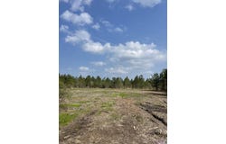 Tract 9 Lorin Wall Rd, Holden, LA 70744