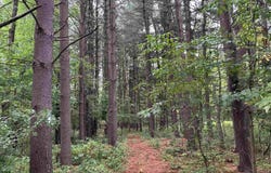 May Rd, Potsdam, NY 13676