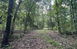 Ash Flat, AR 72513