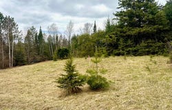 2 Acres ST LOUIS RD, Phelps, WI 54554