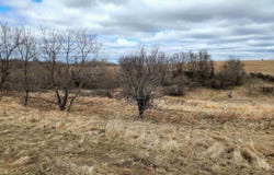 Lot 2 Honeycut Avenue, Tomah, WI 54660
