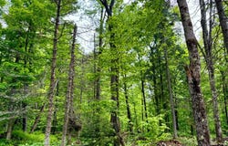 761 Cedar River Road, Indian Lake, NY 12842