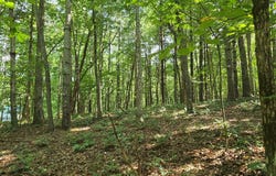 Lot 4 V Addington Road, Blairsville, GA 30512