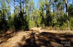 4+/- AC Lot 2 Skyline Road unit: 2, Chester, SC 29706