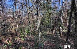 Bugle Retreat, Spanish Fort, AL 36527