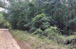 TBD Weathersby Road, Salley, SC 29137