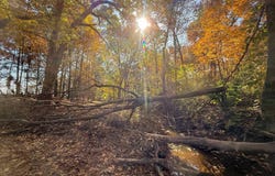 County Road 105, Hickory Ridge, AR 72347
