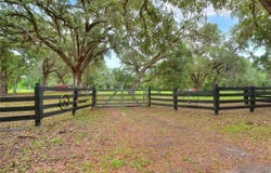 Tbd SE 14TH TERRACE, BUSHNELL, FL 33513