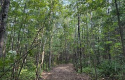 6 Poradish Road, Couderay, WI 54835