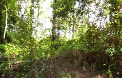 263 LR 182, Ashdown, AR 71822