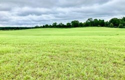 Crockett Road, Rose Bud, AR 72137