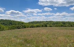 1391 Lower Adkinstown Rd, McKee, KY 40447