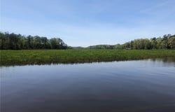 339  Neck O Land Rd, Williamsburg, VA 23185
