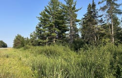 V/L W M-32, Alpena, MI 49707