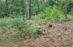 0 Nash Hill Road, Ludlow, MA 01056