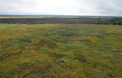 Hwy 84, Lawn, TX 79530