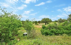 Tbd Cats Eye (1), Horseshoe Bay, TX 78657