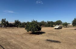 19780 Avenue 22 1/2, Chowchilla, CA 93610