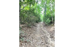 Buck Drive, Hays, NC 28649