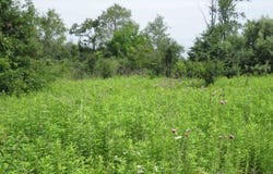 1 Acre Woodridge Drive, Elkhorn, WI 53121-0000
