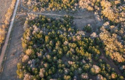 000 Tbd 17+/- Ac Grassyville RD, Paige, TX 78659