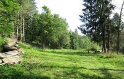 1265 Meeker Hollow Road, Roxbury, NY 12474