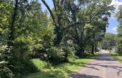 Virginia St, PARIS, TN 38242