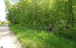 3882 S 5 1/2 Road, Harrietta, MI 49638