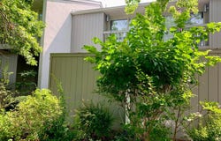 20714 SPRING LAKE DRIVE, REHOBOTH BEACH, DE 19971
