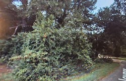 120 Joyner Street, Eastover, SC 29044