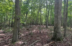 Mill Road, Little Mountain, SC 29075