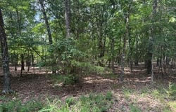 258 CR 472 lot: 41, Clarkridge, AR 72623
