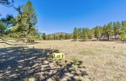 Lot F Cold Spring Trl, Custer, SD 57730