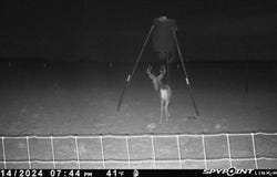 Tbd FM 1919, Seymour, TX 76380