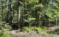 Huckleberry Road, Newfoundland, PA 18445