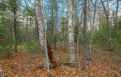 Off EAGLE WATERS RD, Eagle River, WI 54521