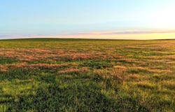 TBD Highway 63, Anton, CO 80801