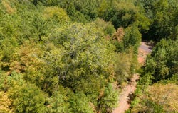 N County Road 1207, Rusk, TX 75785