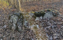 Hwy 62/36, Williford, AR 72482