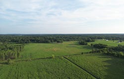0 Green Road, Stockbridge, MI 49285