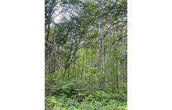 Lot 1 Patriot Ave, Pequot Lakes, MN 56472