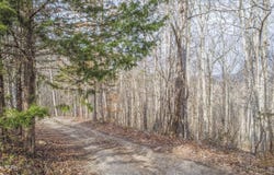 Meandering Circle, Maynardville, TN 37807