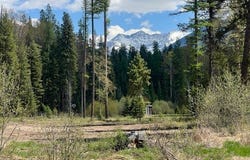 NHN Old Mill Road, Bigfork, MT 59911