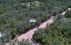 DOTTIE Street, Interlachen, FL 32148
