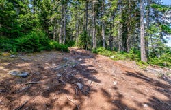 Harbor Island Lane lot: 6, Phippsburg, ME 04562