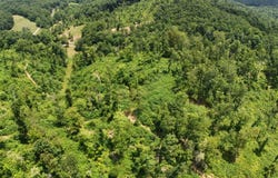 0 Gregory Tuttle Road, London, KY 40744