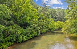 Lot 6 Riverfront Drive, Ellijay, GA 30536