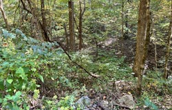 1875 Dyer Hollow Road, Mohawk, TN 37810