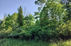 Vl 56th Street, Fennville, MI 49408